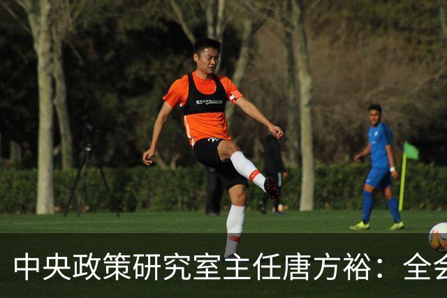 中央政策研究室主任唐方裕：全会《决定》征求意见稿收到修改意见1173条