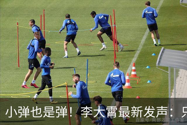 小弹也是弹！李大霄最新发声：只要能够不跌或者少跌、缓跌，就是救市成功，呼吁各方“多添一把柴火，少泼一点冷水”