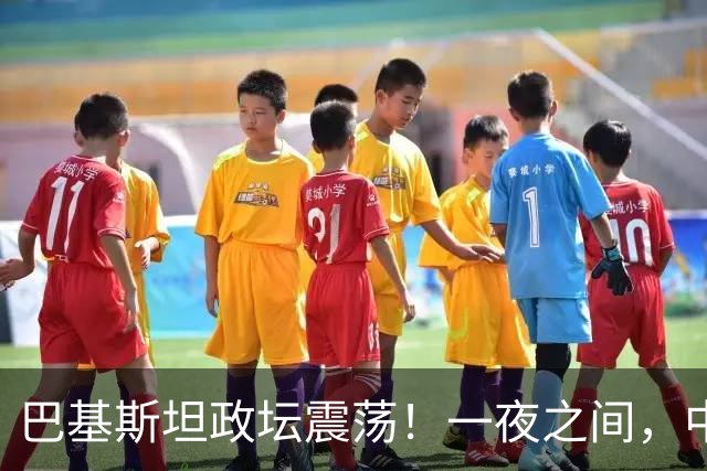 巴基斯坦政坛震荡！一夜之间，中央强硬接管省份，反对党高层遭围剿