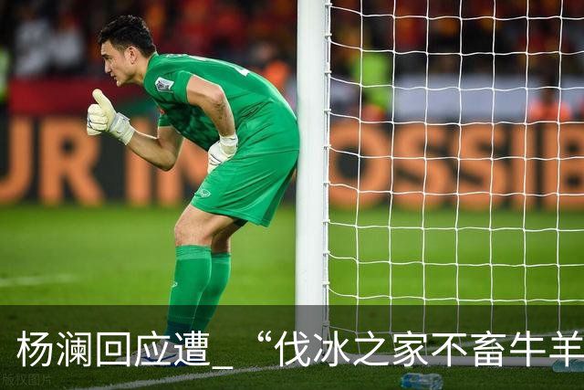 杨澜回应遭 “伐冰之家不畜牛羊”调侃：我不适合直播间吆喝卖百货