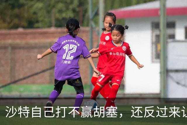 沙特自己打不赢胡塞，还反过来让中国看着办？中方没必要搭理