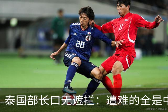 泰国部长口无遮拦：遭难的全是中国人，全怪受害者本人太贪婪？