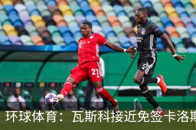 环球体育：瓦斯科接近免签卡洛斯-维尼修斯