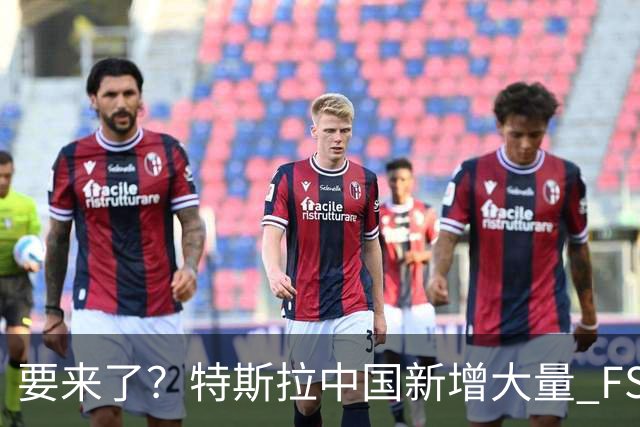 要来了？特斯拉中国新增大量 FSD 功能和图标
